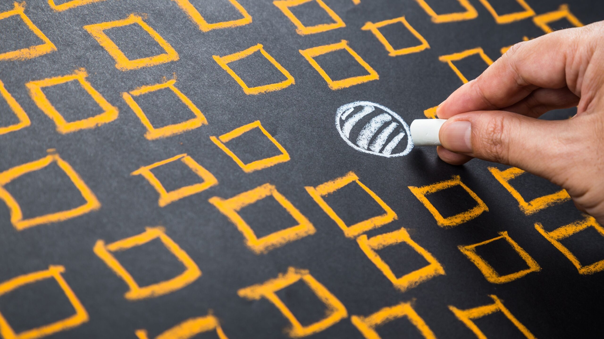 Positionality statements are relevant for all research